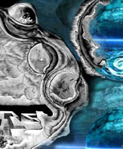 gravure sur bois, estampe